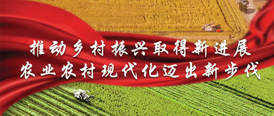 2022年中央一号文件发布