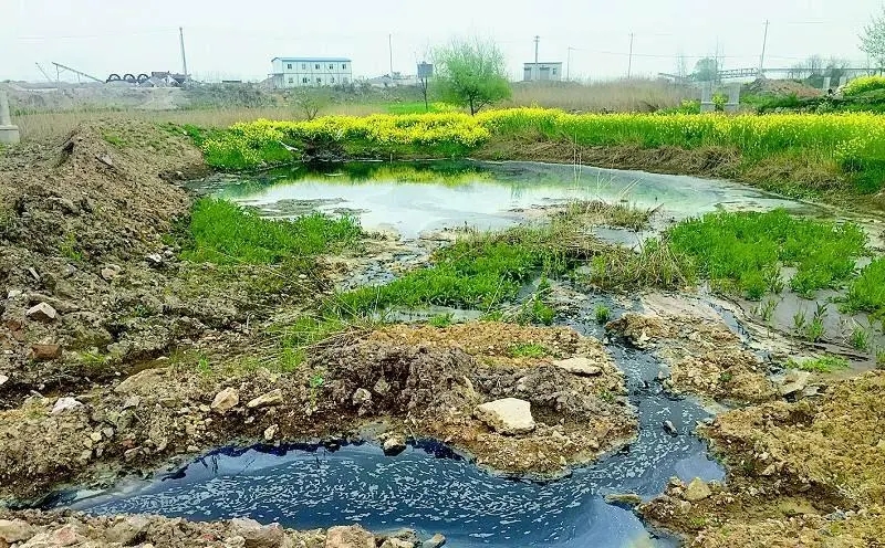 黑龙江省2024年农村生活污水、黑臭水体治理工作方案出炉！